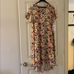 Lularoe Carley swing dress